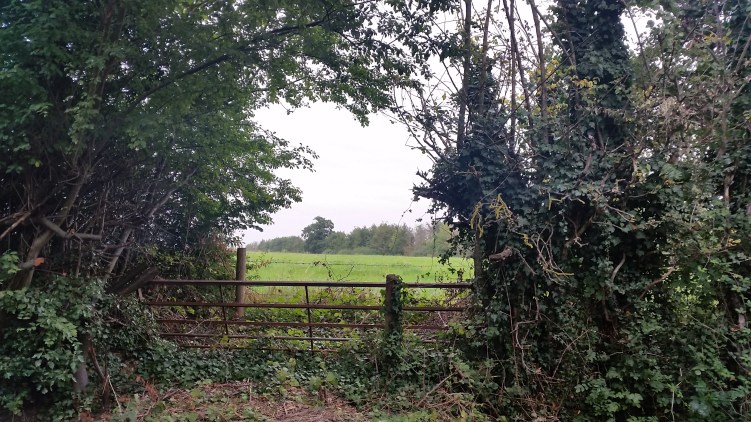 Gated entrance to field